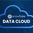 snow-flake